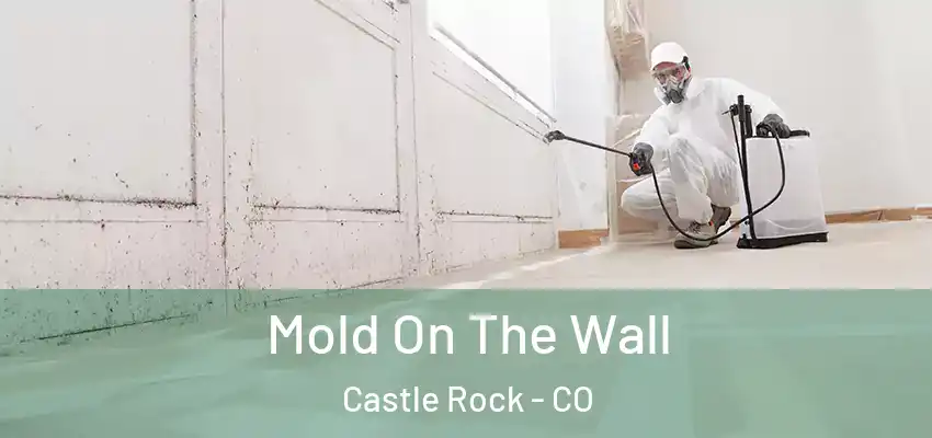 Mold On The Wall Castle Rock - CO