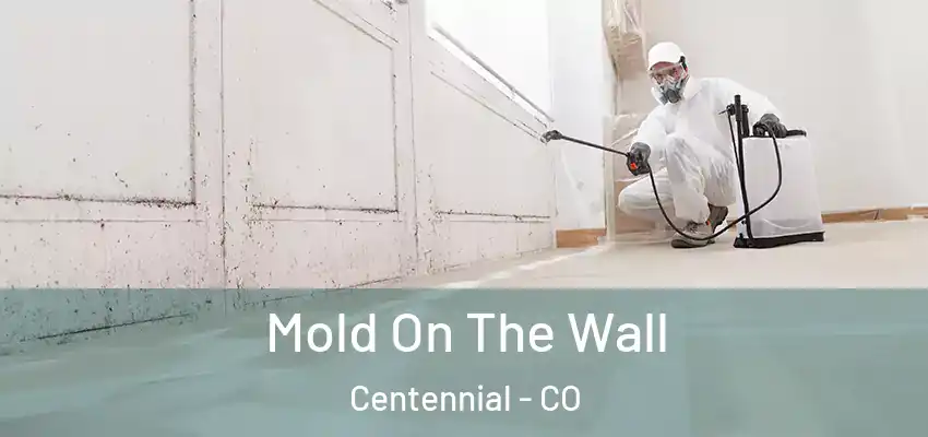  Mold On The Wall Centennial - CO