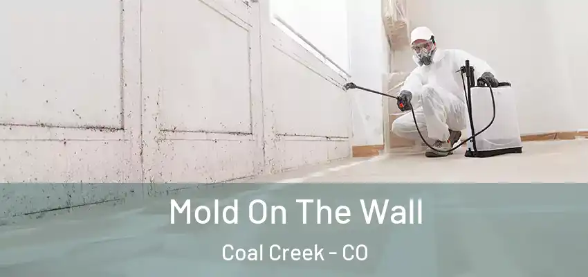  Mold On The Wall Coal Creek - CO