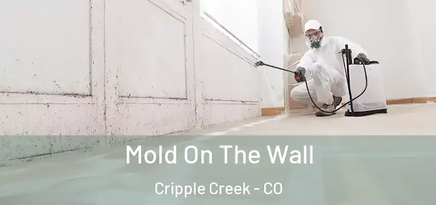  Mold On The Wall Cripple Creek - CO
