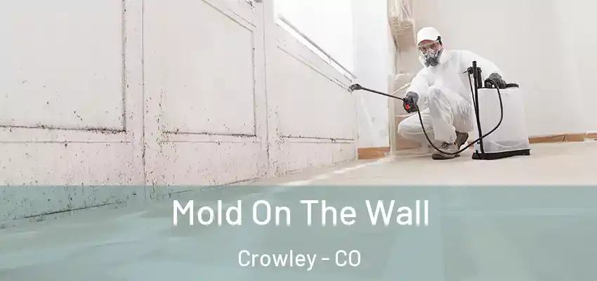  Mold On The Wall Crowley - CO