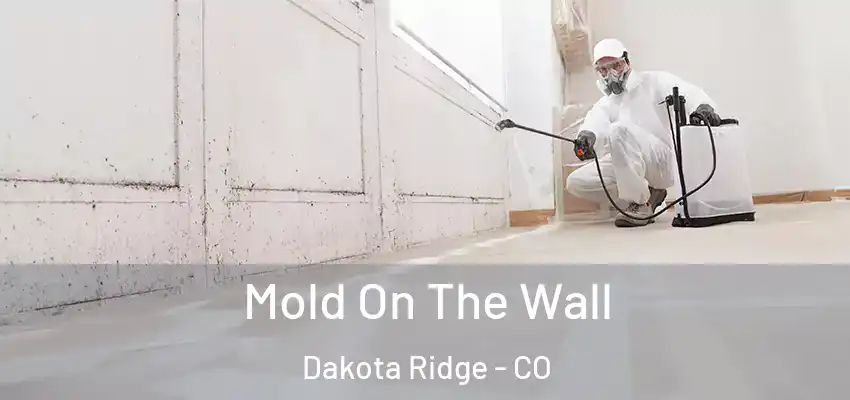  Mold On The Wall Dakota Ridge - CO