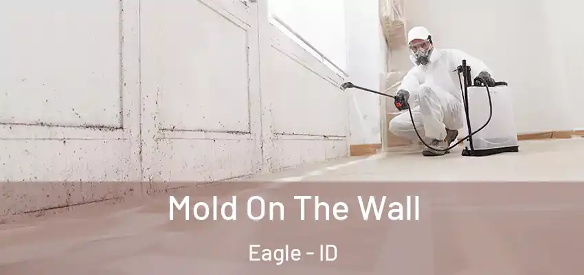  Mold On The Wall Eagle - ID