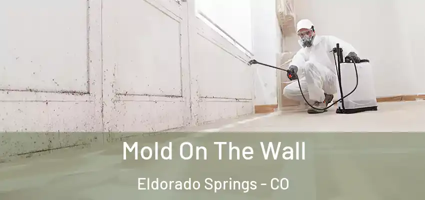  Mold On The Wall Eldorado Springs - CO