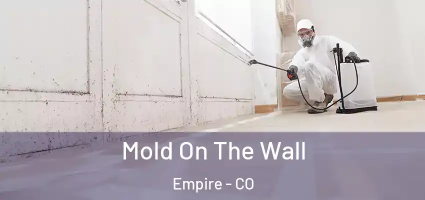 Mold On The Wall Empire - CO