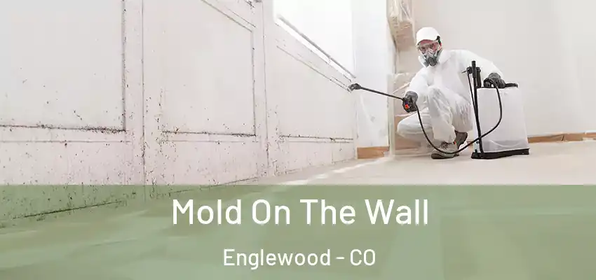  Mold On The Wall Englewood - CO