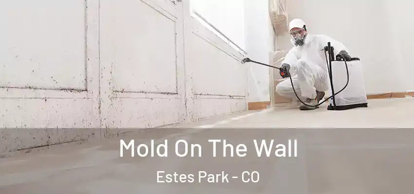  Mold On The Wall Estes Park - CO
