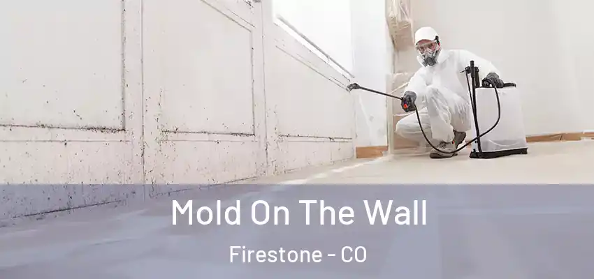Mold On The Wall Firestone - CO