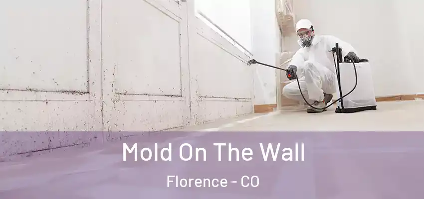  Mold On The Wall Florence - CO