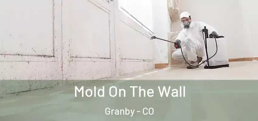  Mold On The Wall Granby - CO