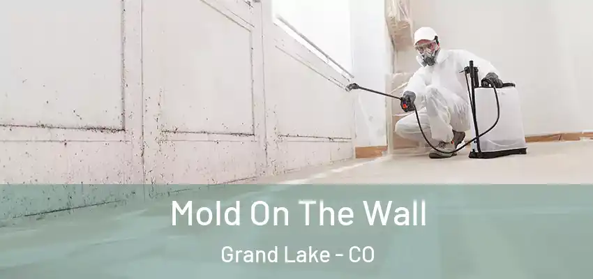  Mold On The Wall Grand Lake - CO