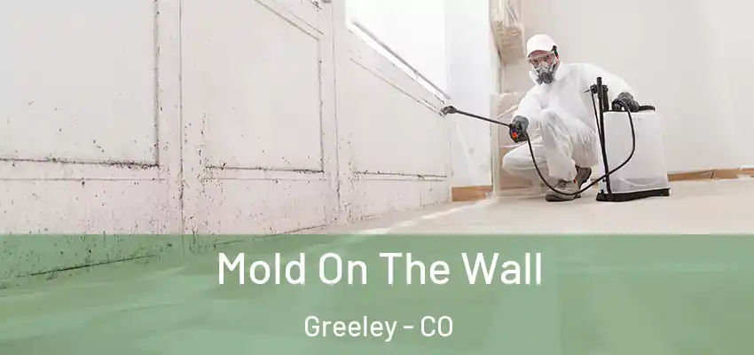  Mold On The Wall Greeley - CO