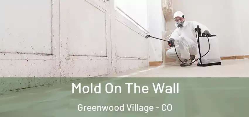  Mold On The Wall Greenwood Village - CO