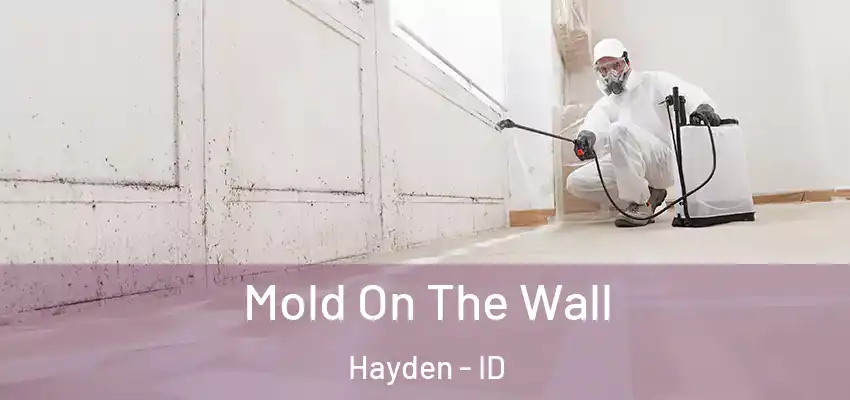  Mold On The Wall Hayden - ID