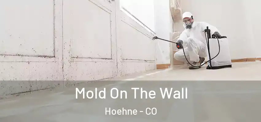 Mold On The Wall Hoehne - CO