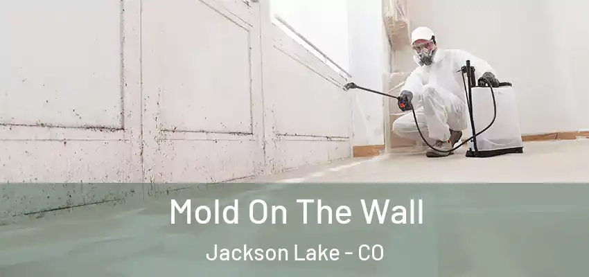  Mold On The Wall Jackson Lake - CO