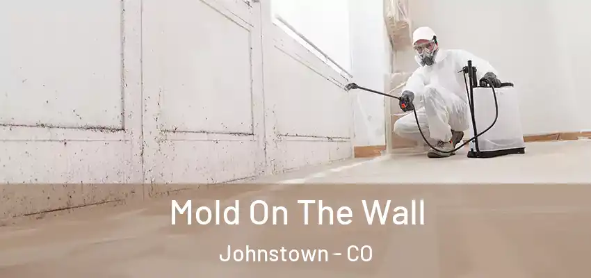 Mold On The Wall Johnstown - CO
