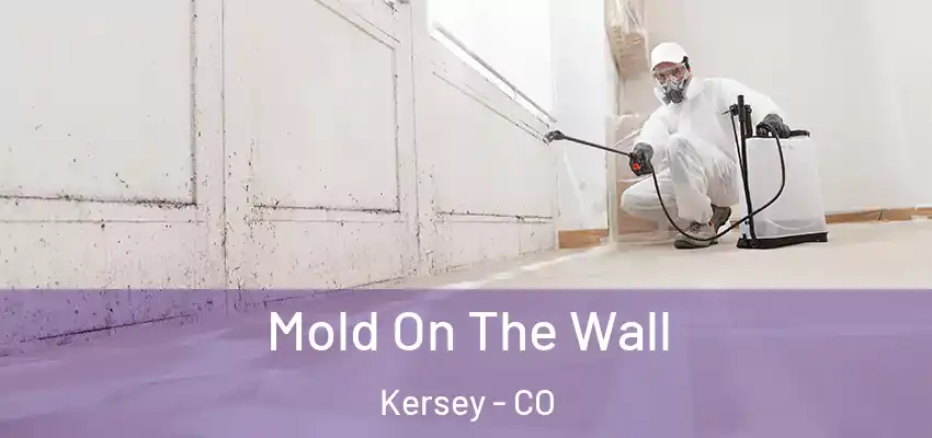  Mold On The Wall Kersey - CO