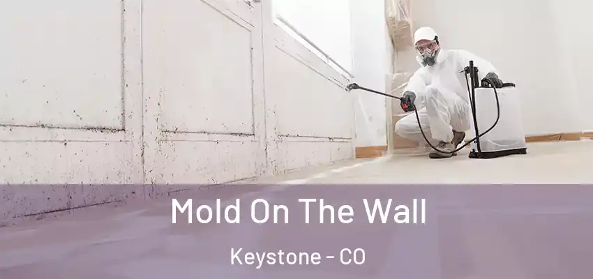  Mold On The Wall Keystone - CO