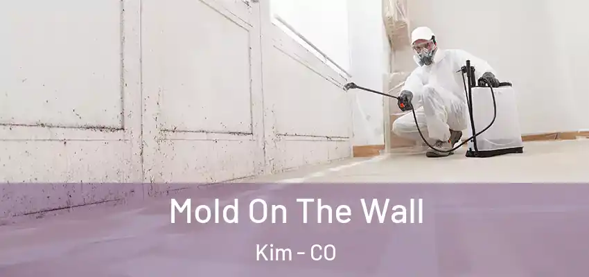  Mold On The Wall Kim - CO