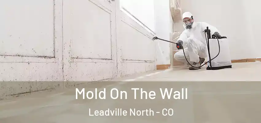  Mold On The Wall Leadville North - CO