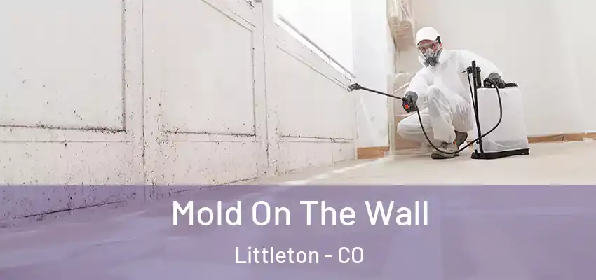 Mold On The Wall Littleton - CO
