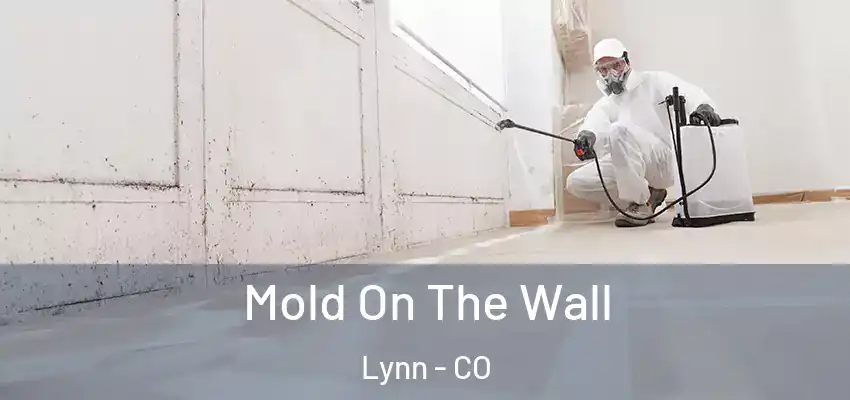  Mold On The Wall Lynn - CO