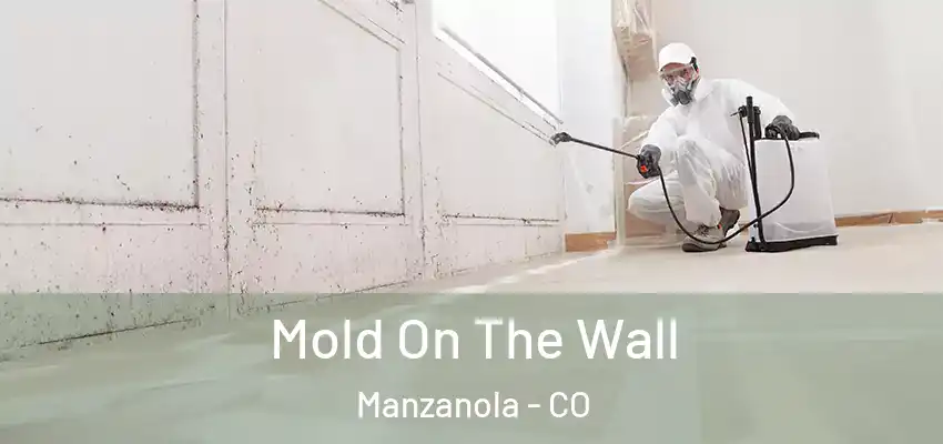 Mold On The Wall Manzanola - CO