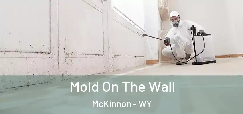 Mold On The Wall McKinnon - WY