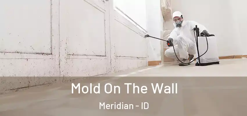  Mold On The Wall Meridian - ID