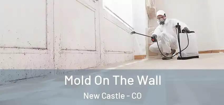  Mold On The Wall New Castle - CO