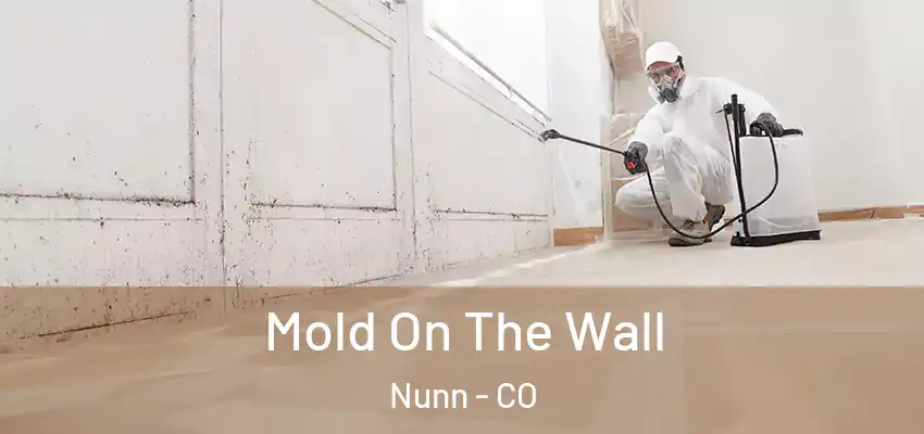 Mold On The Wall Nunn - CO