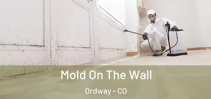  Mold On The Wall Ordway - CO