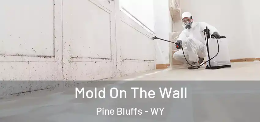 Mold On The Wall Pine Bluffs - WY