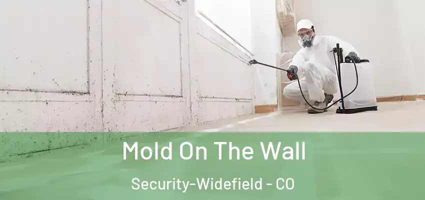 Mold On The Wall Security-Widefield - CO