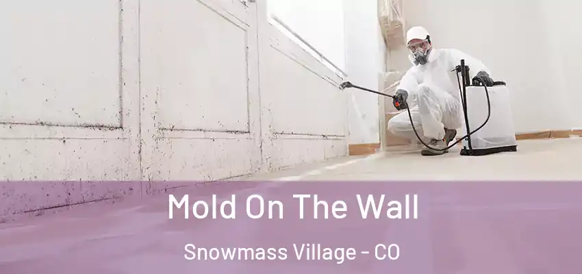  Mold On The Wall Snowmass Village - CO