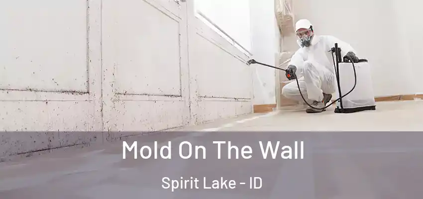  Mold On The Wall Spirit Lake - ID