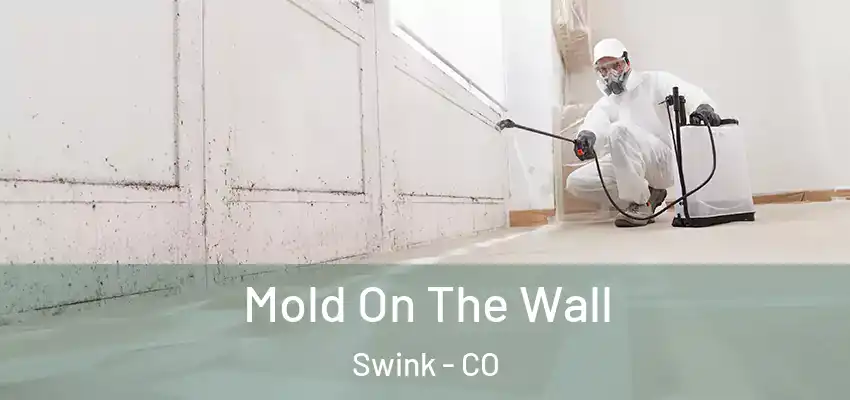 Mold On The Wall Swink - CO
