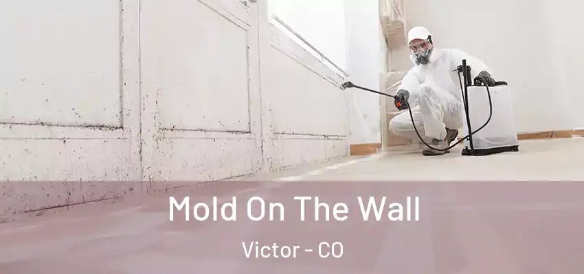 Mold On The Wall Victor - CO