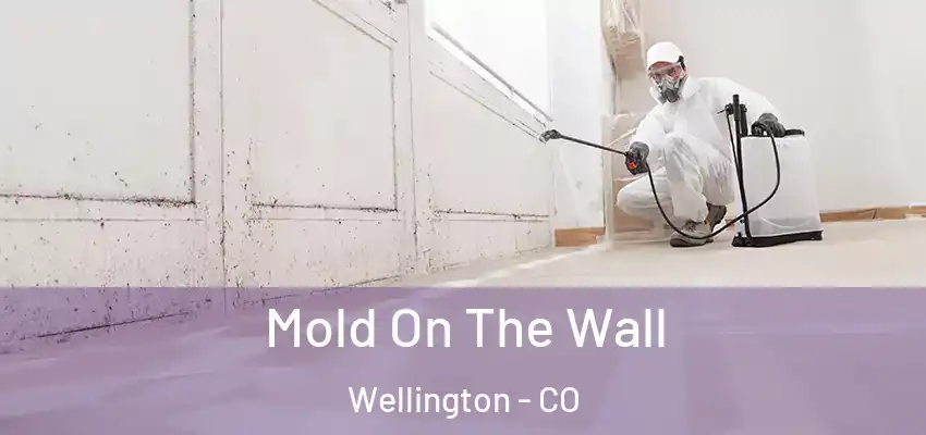  Mold On The Wall Wellington - CO