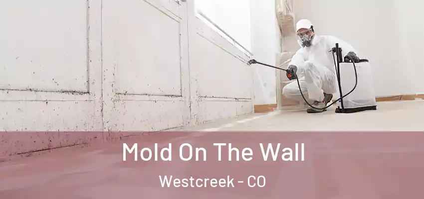  Mold On The Wall Westcreek - CO