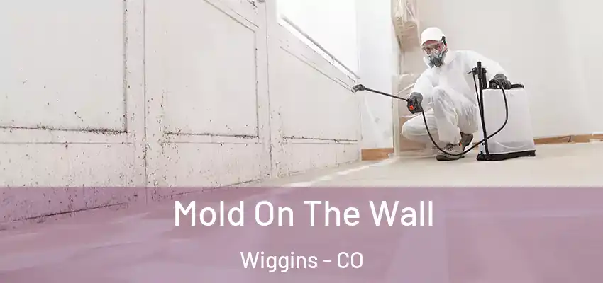  Mold On The Wall Wiggins - CO