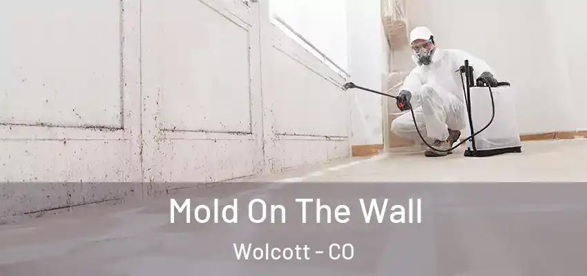 Mold On The Wall Wolcott - CO