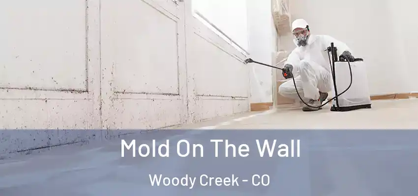  Mold On The Wall Woody Creek - CO