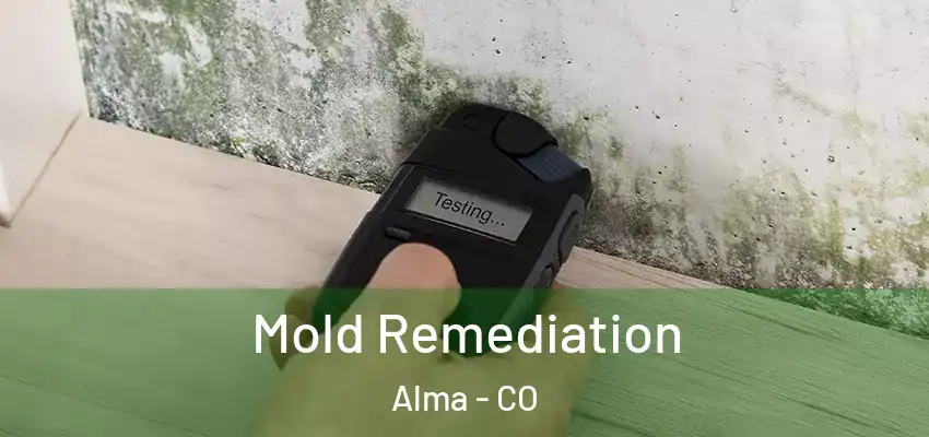  Mold Remediation Alma - CO