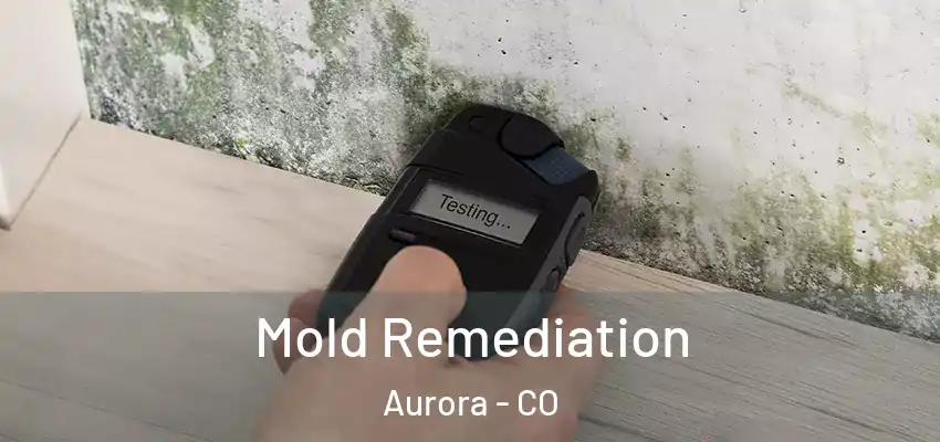  Mold Remediation Aurora - CO