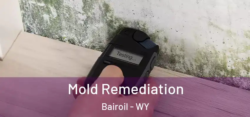  Mold Remediation Bairoil - WY