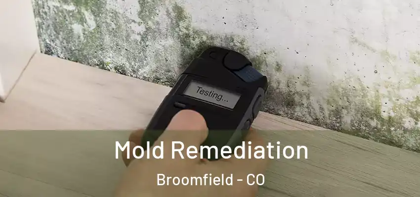  Mold Remediation Broomfield - CO