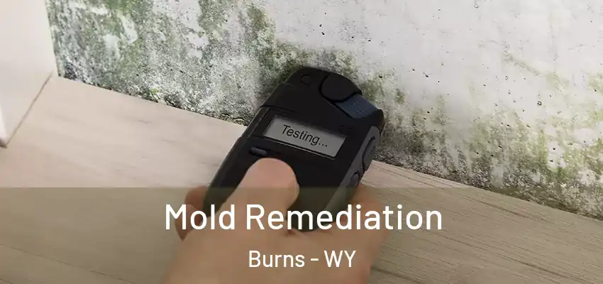  Mold Remediation Burns - WY