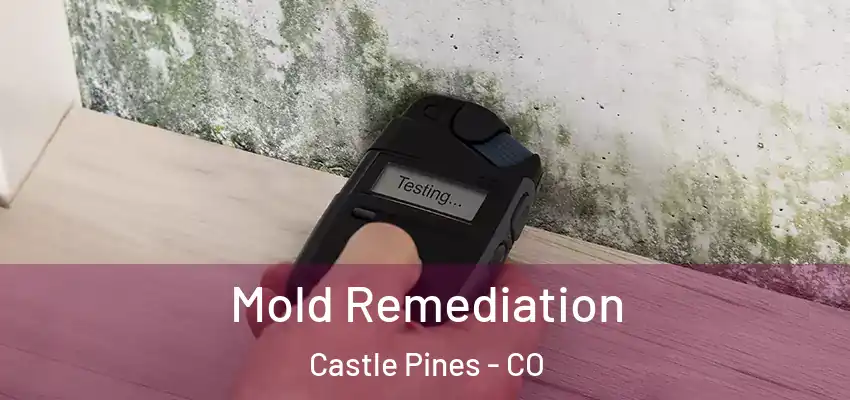  Mold Remediation Castle Pines - CO